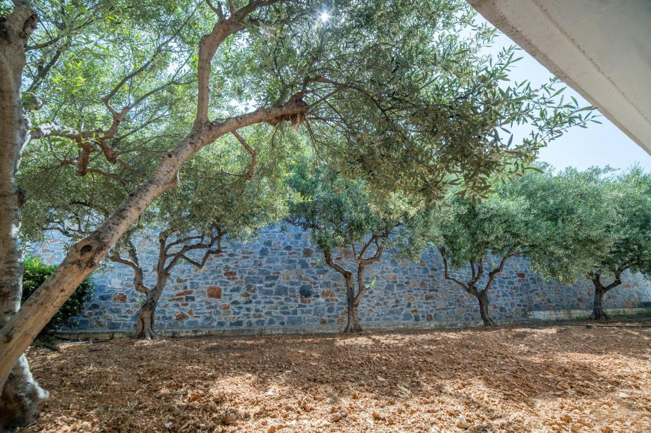 Semiramis Village Hotel Hersonissos  Dış mekan fotoğraf